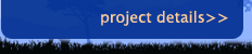 Project Details